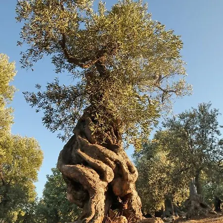 Palazzo Angio' Monopoli