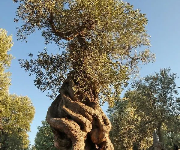 Palazzo Angio' Monopoli